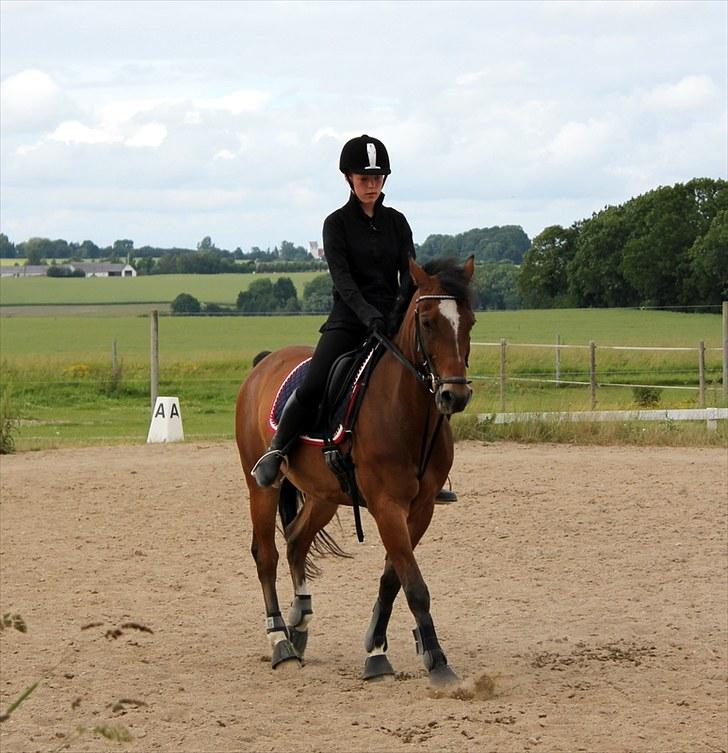 Michelle & Mirou dressurundervisning 30/6 - Schenkelvigning billede 30