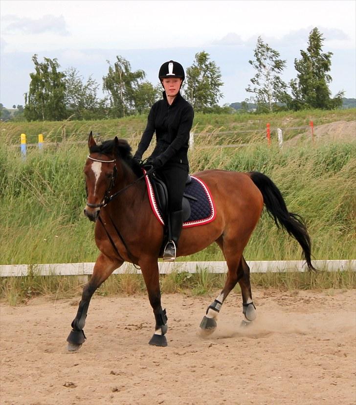 Michelle & Mirou dressurundervisning 30/6 - Dybt koncentretet billede 31