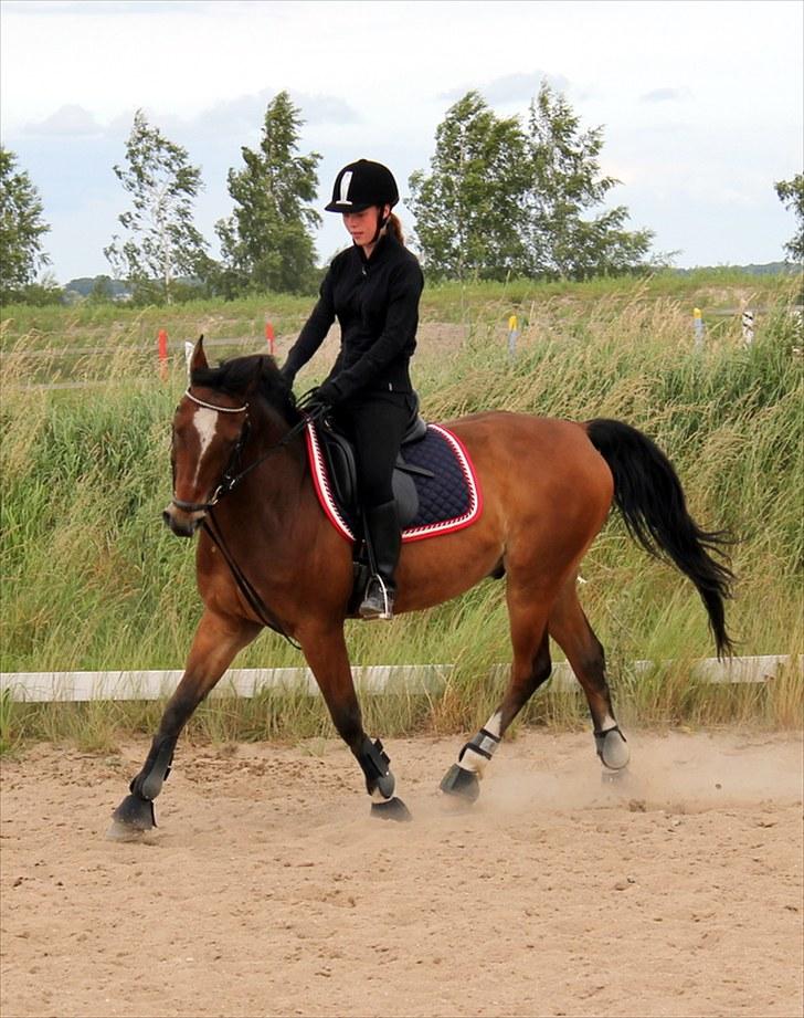 Michelle & Mirou dressurundervisning 30/6 - My beautiful baby billede 32