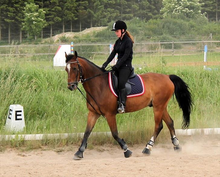 Michelle & Mirou dressurundervisning 30/6 billede 33