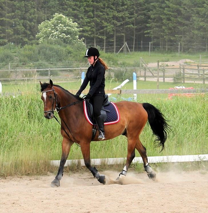 Michelle & Mirou dressurundervisning 30/6 billede 34