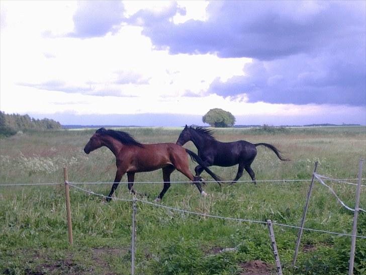 De bedste sommerbilleder :) billede 68