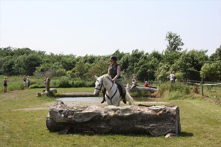 Søborggaard Ridelejr, uge 26! :D billede 4