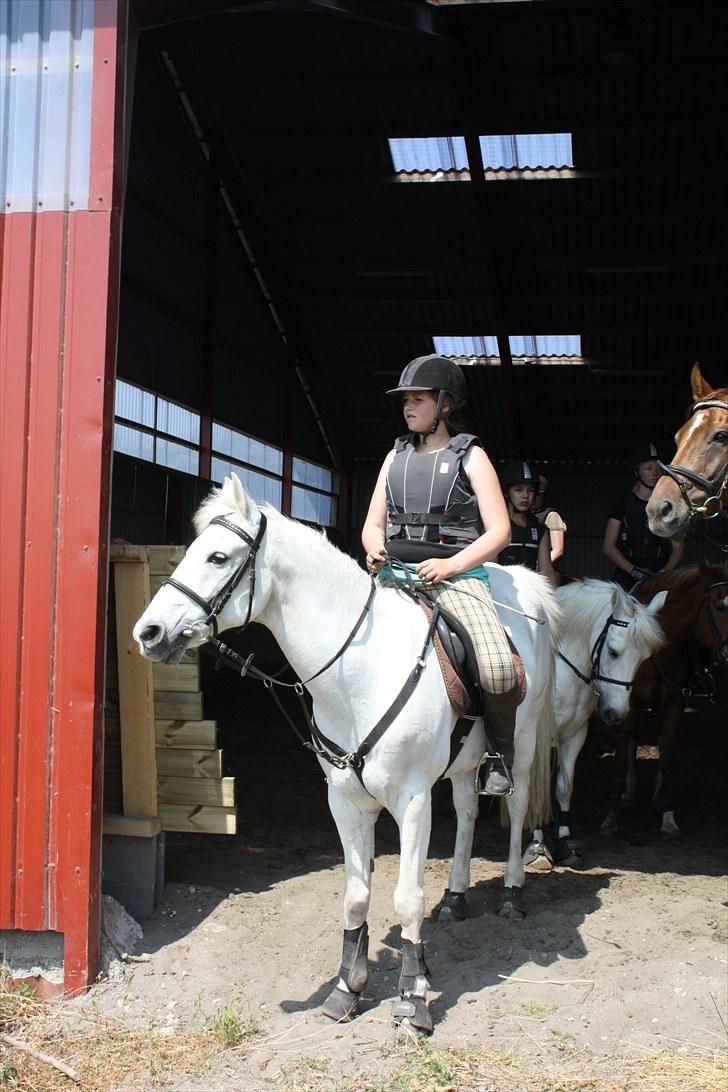 Søborggaard Ridelejr, uge 26! :D billede 5