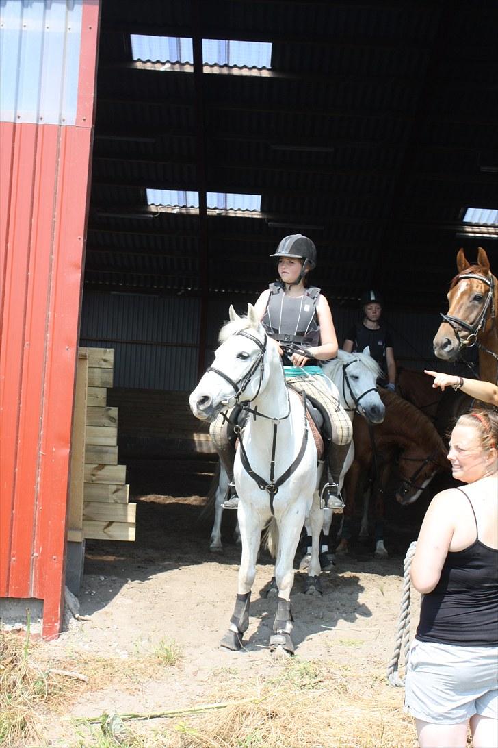 Søborggaard Ridelejr, uge 26! :D billede 6