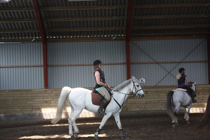 Søborggaard Ridelejr, uge 26! :D billede 8