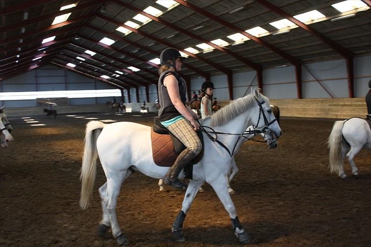 Søborggaard Ridelejr, uge 26! :D billede 11