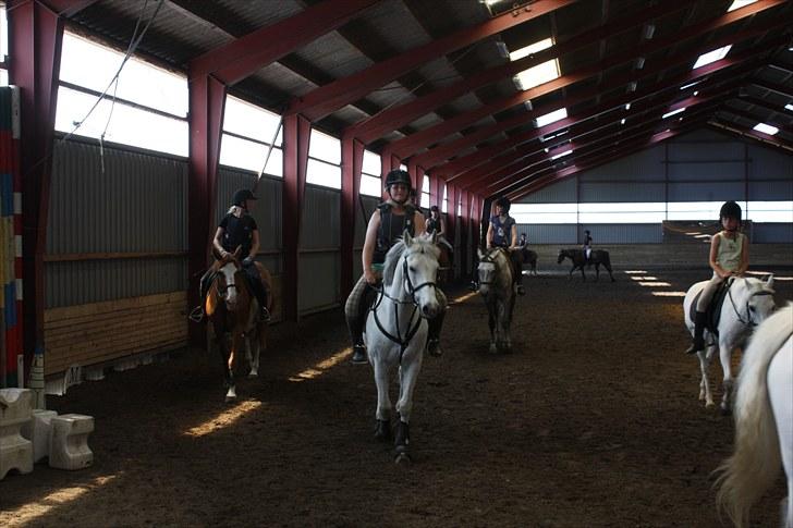 Søborggaard Ridelejr, uge 26! :D billede 14