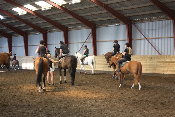 Søborggaard Ridelejr, uge 26! :D billede 15