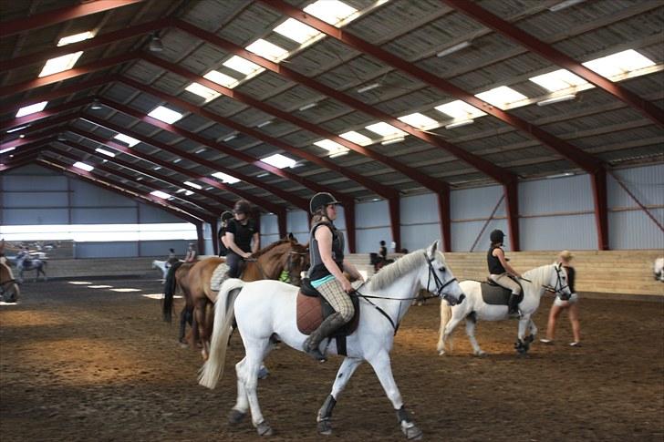 Søborggaard Ridelejr, uge 26! :D billede 18