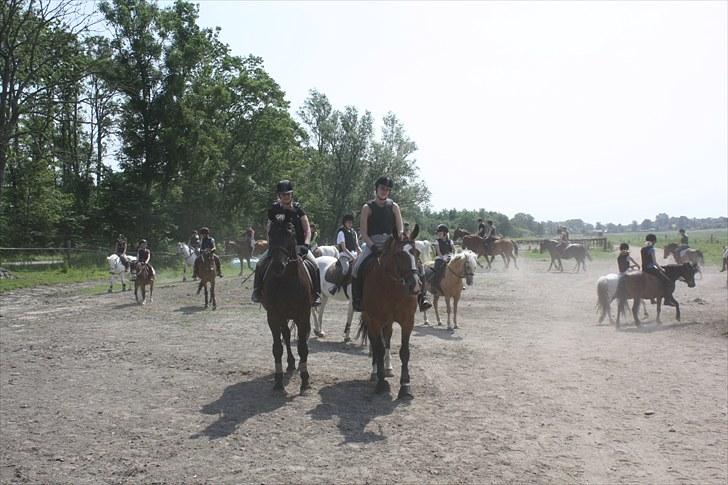 Søborggaard Ridelejr, uge 26! :D billede 22