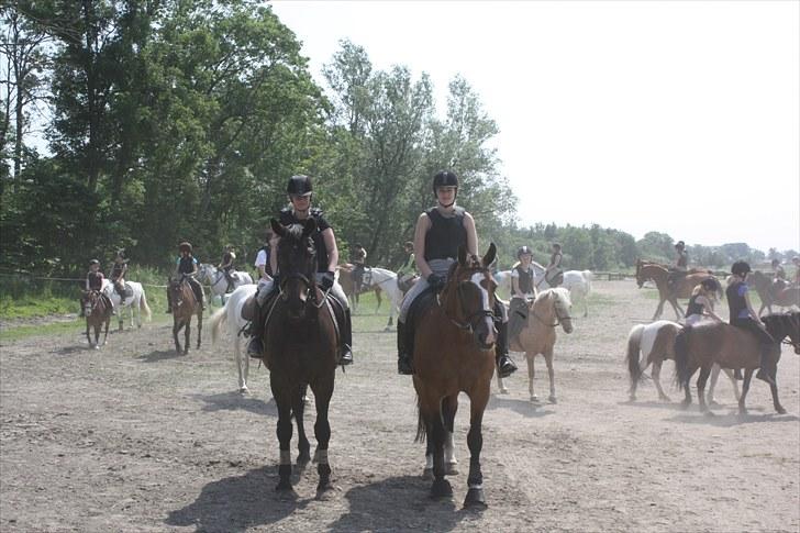 Søborggaard Ridelejr, uge 26! :D billede 23