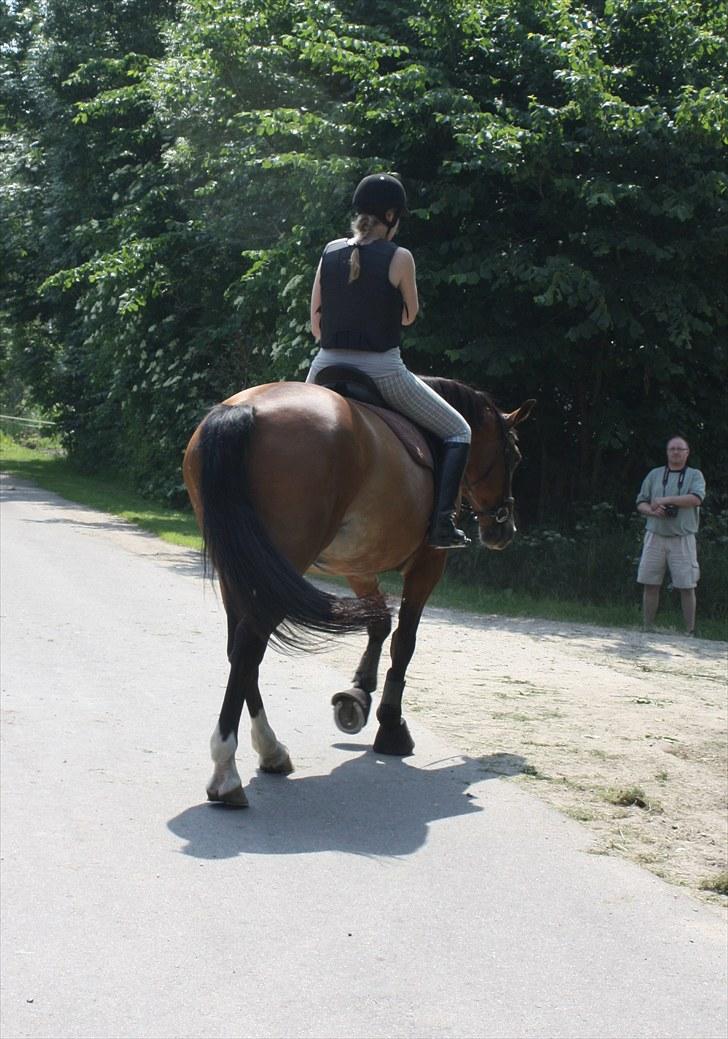 Søborggaard Ridelejr, uge 26! :D billede 29