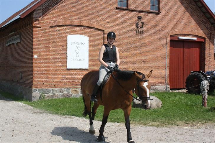 Søborggaard Ridelejr, uge 26! :D billede 30