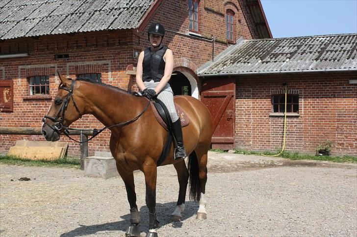 Søborggaard Ridelejr, uge 26! :D billede 31