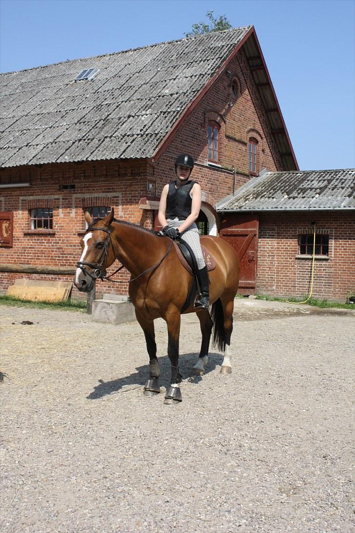 Søborggaard Ridelejr, uge 26! :D billede 32