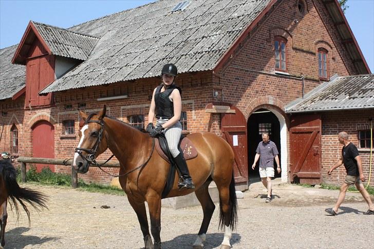 Søborggaard Ridelejr, uge 26! :D billede 34