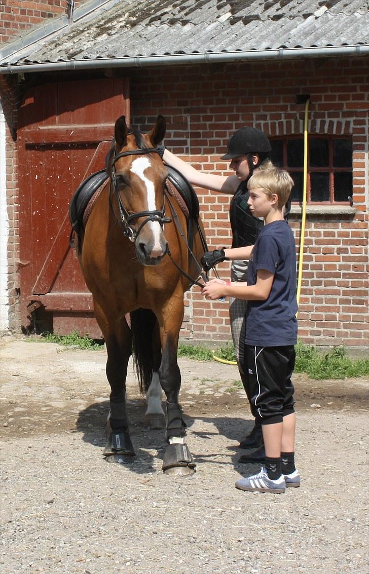 Søborggaard Ridelejr, uge 26! :D billede 1