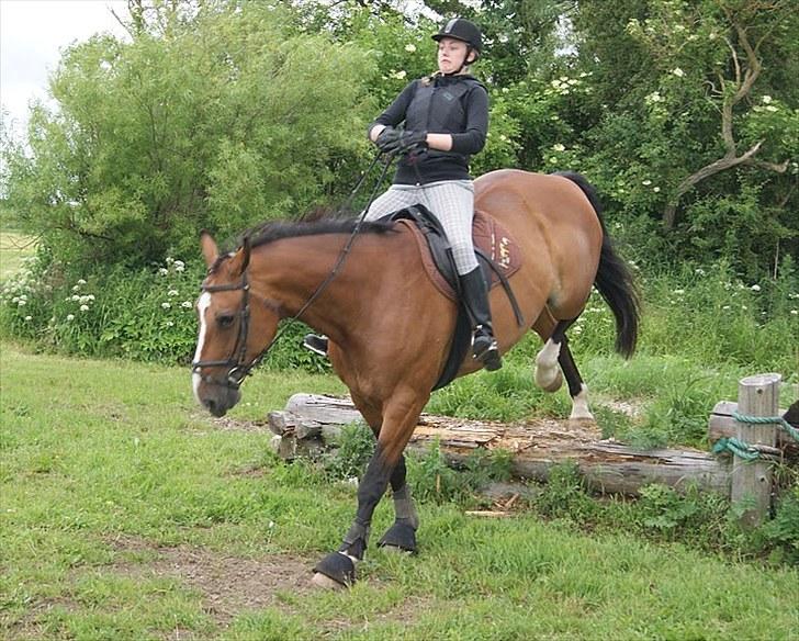 Søborggaard Ridelejr, uge 26! :D billede 36