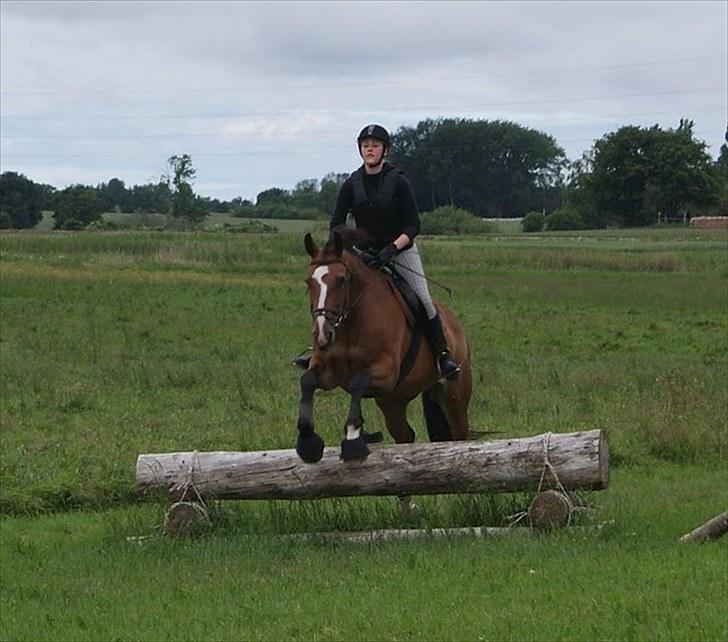 Søborggaard Ridelejr, uge 26! :D billede 37