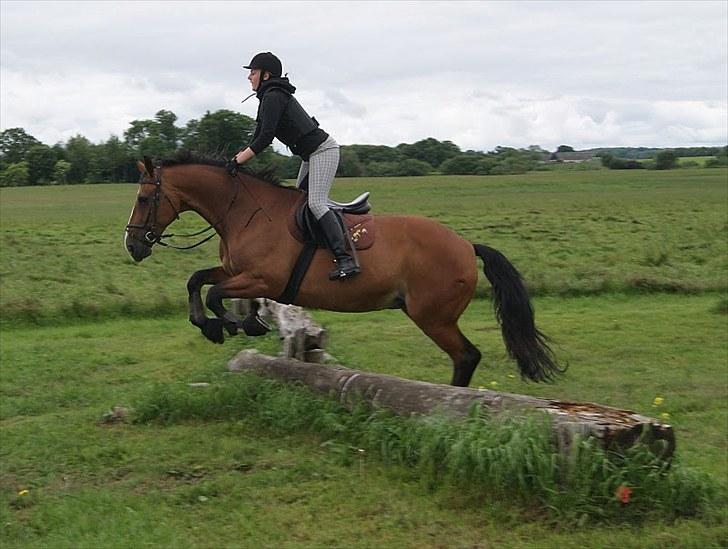 Søborggaard Ridelejr, uge 26! :D billede 38