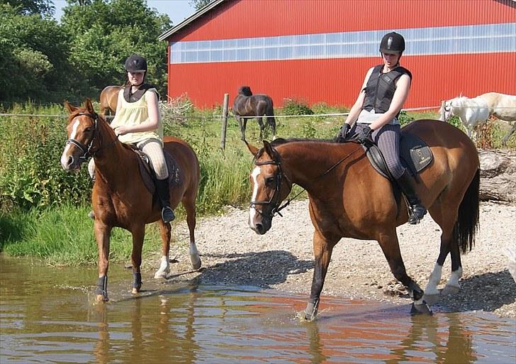 Søborggaard Ridelejr, uge 26! :D billede 40