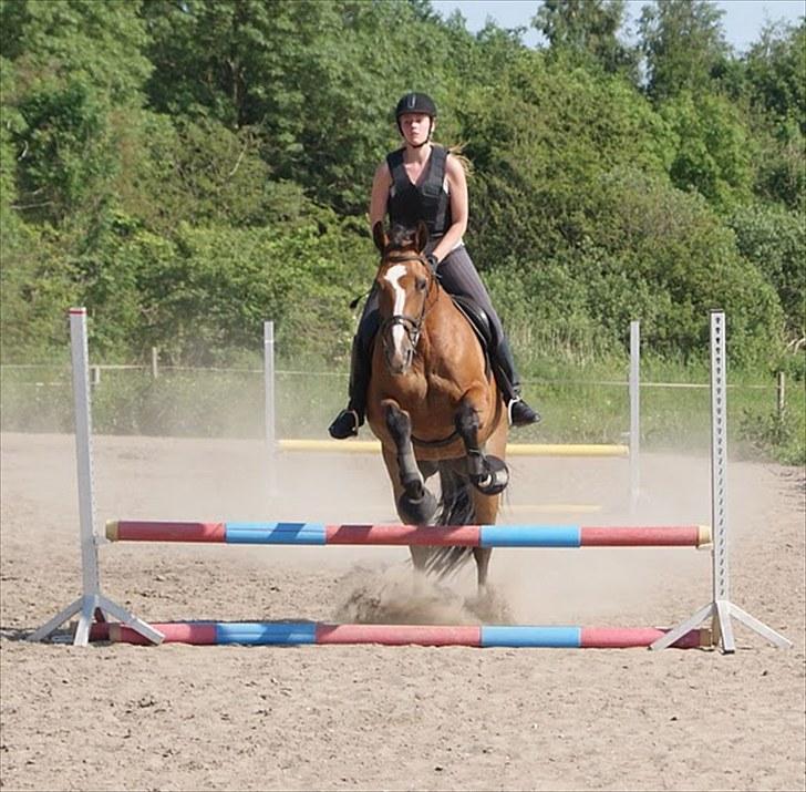 Søborggaard Ridelejr, uge 26! :D billede 41