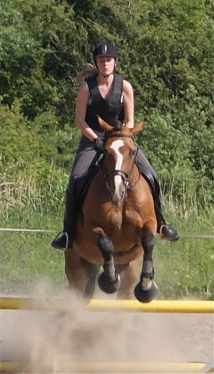 Søborggaard Ridelejr, uge 26! :D billede 42