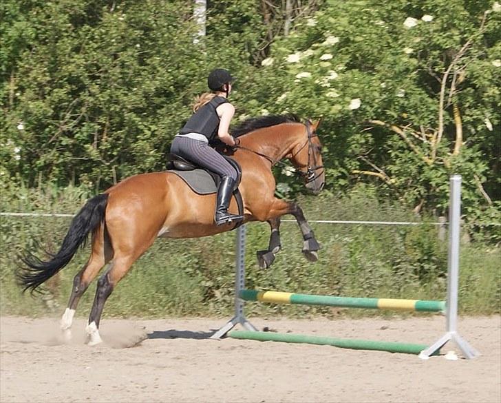 Søborggaard Ridelejr, uge 26! :D billede 44