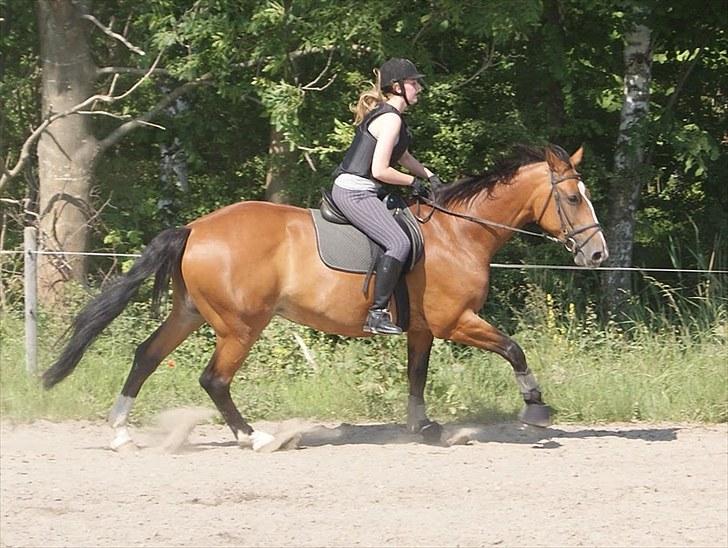 Søborggaard Ridelejr, uge 26! :D billede 45