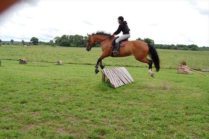 Søborggaard Ridelejr, uge 26! :D billede 47