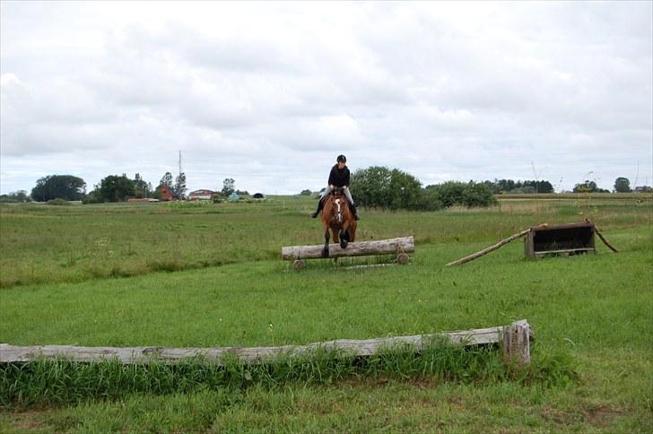 Søborggaard Ridelejr, uge 26! :D billede 48