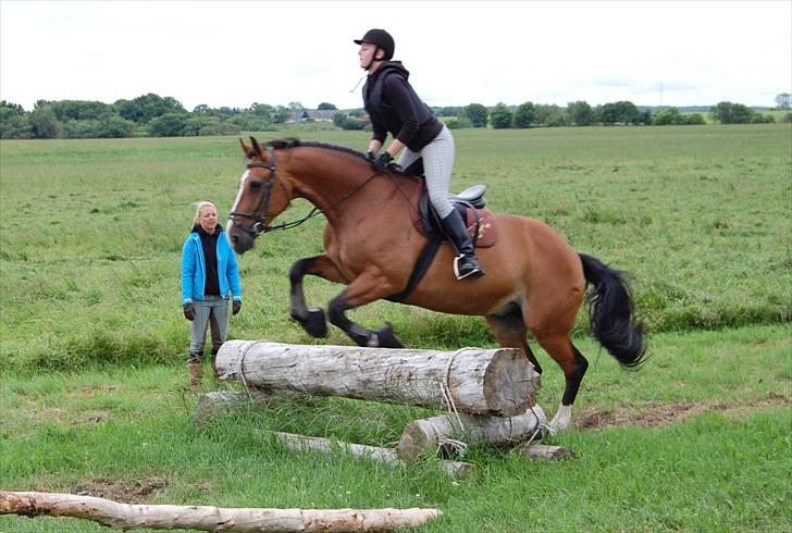 Søborggaard Ridelejr, uge 26! :D billede 49