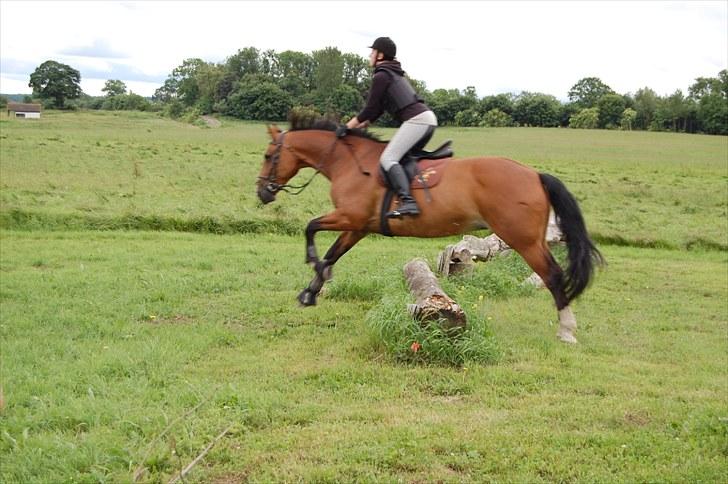 Søborggaard Ridelejr, uge 26! :D billede 51