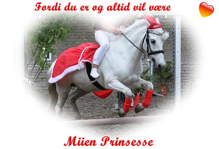 Billeder jeg har lavet  - Til Philipa 
Det er kun hende der må tage billedet
 billede 11