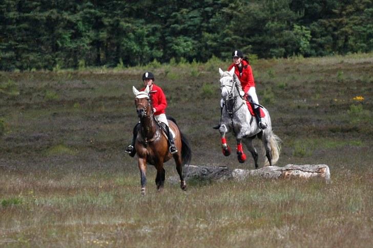 Jagt billeder billede 27