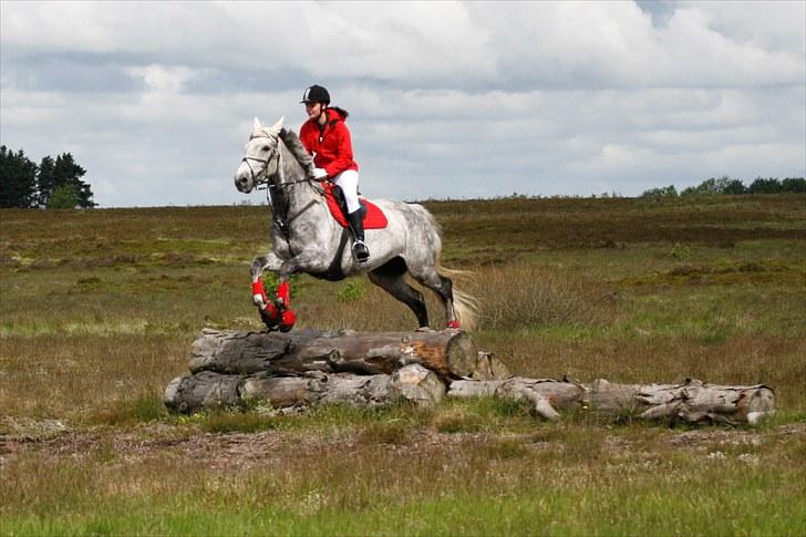 Jagt billeder billede 28