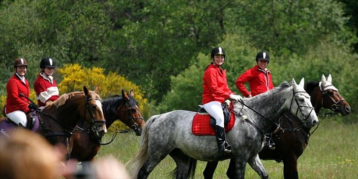 Jagt billeder billede 29