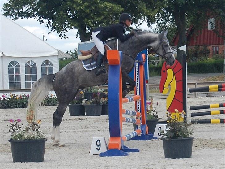 Billeder fra Riders Cup til andre billede 4