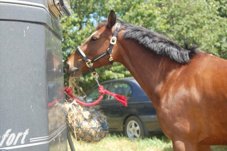 Billeder fra Riders Cup til andre billede 5