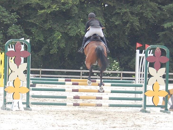 Billeder fra Riders Cup til andre billede 9