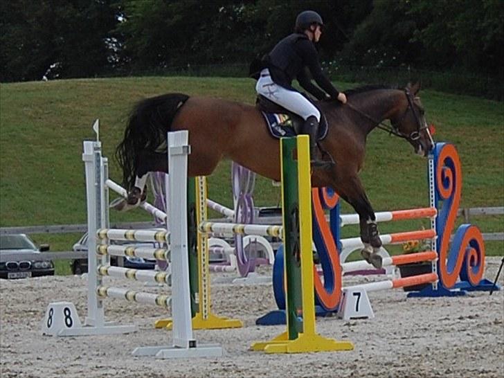 Billeder fra Riders Cup til andre billede 10