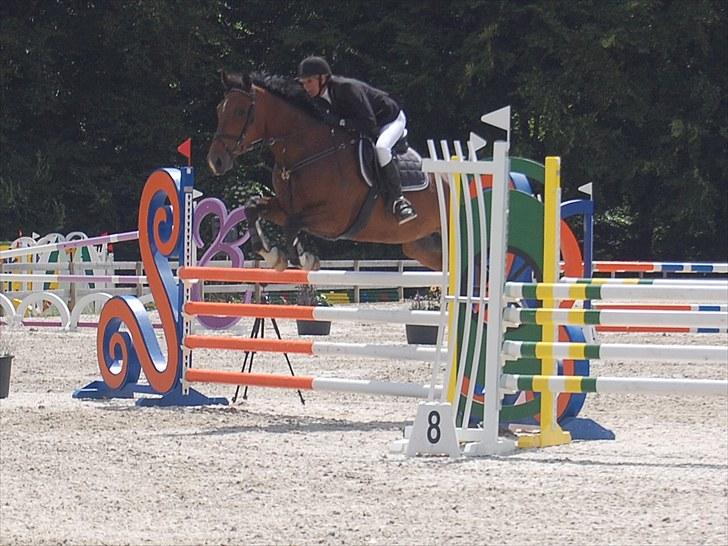 Billeder fra Riders Cup til andre billede 11