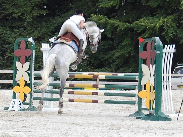 Billeder fra Riders Cup til andre billede 16