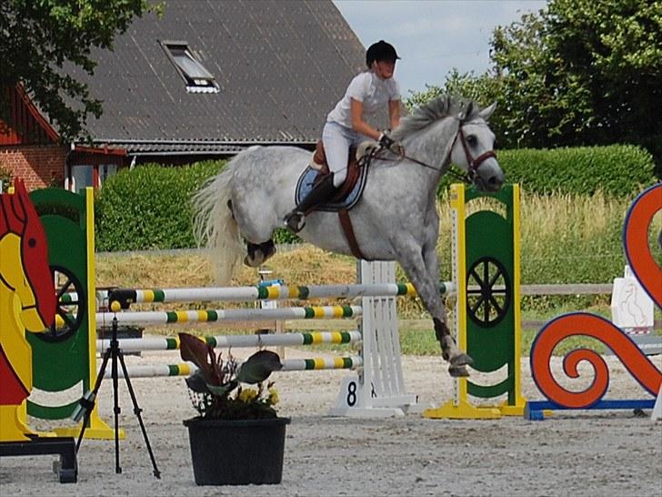 Billeder fra Riders Cup til andre billede 17