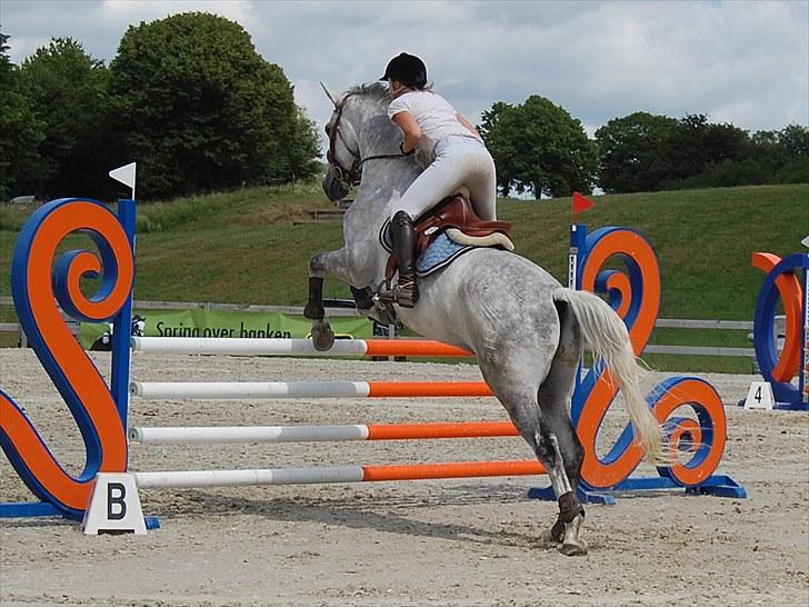 Billeder fra Riders Cup til andre billede 18