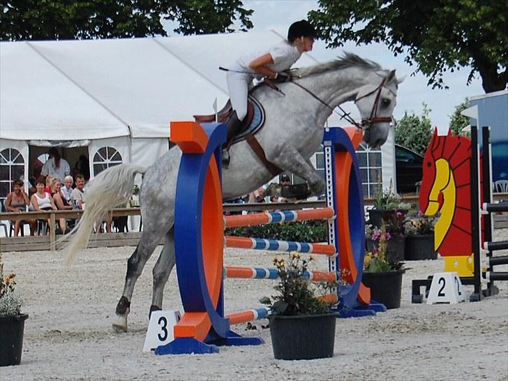 Billeder fra Riders Cup til andre billede 20