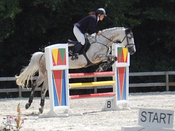 Billeder fra Riders Cup til andre billede 22