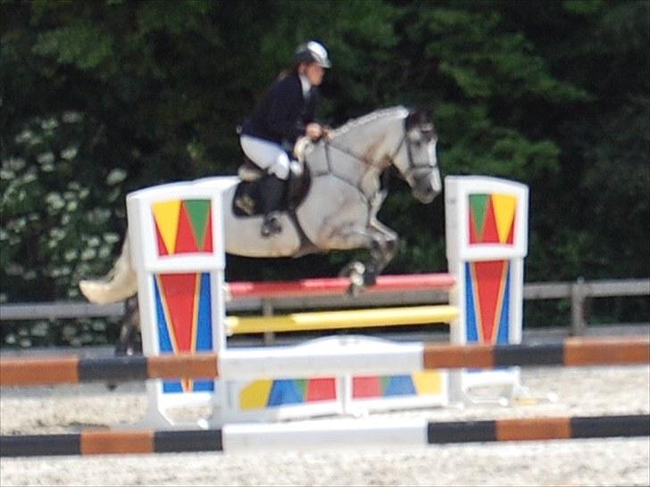 Billeder fra Riders Cup til andre billede 23