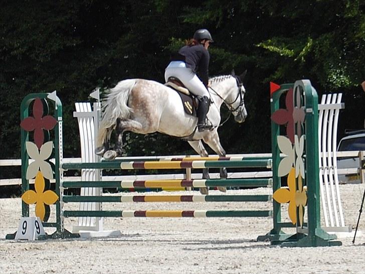 Billeder fra Riders Cup til andre billede 24